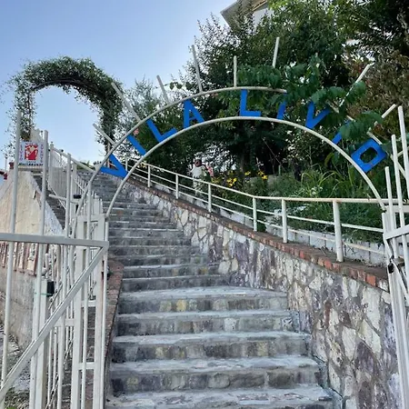 Inn Vila Livio - Mirdite *
