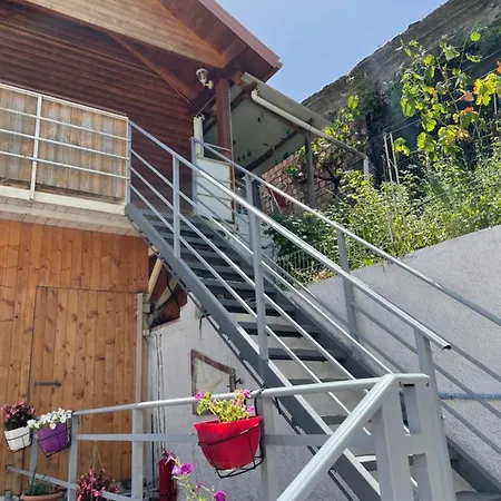 Vila Livio - Mirdite Zajazd